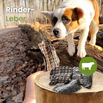 Kauartikel.com Rinder-Leber