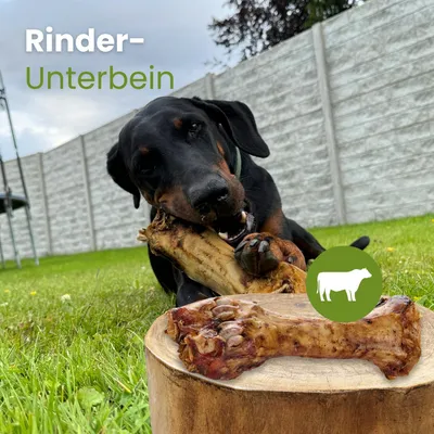 Kauartikel.com Rinder-Unterbein