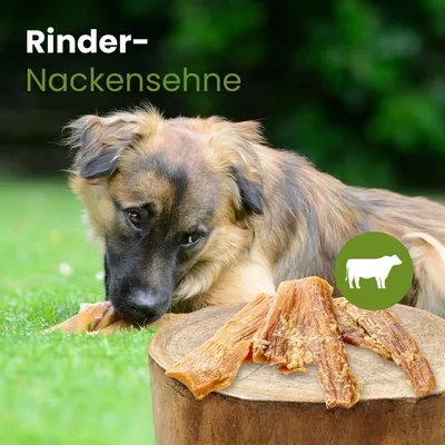 Kauartikel Rinder-Nackensehne Kauartikel Rinder-Nackensehne