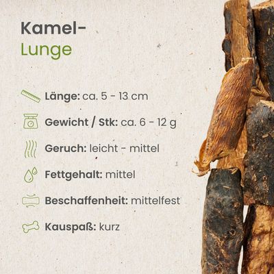 Kauartikel.com Kamel-Lunge
