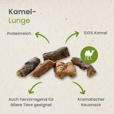 Kauartikel.com Kamel-Lunge