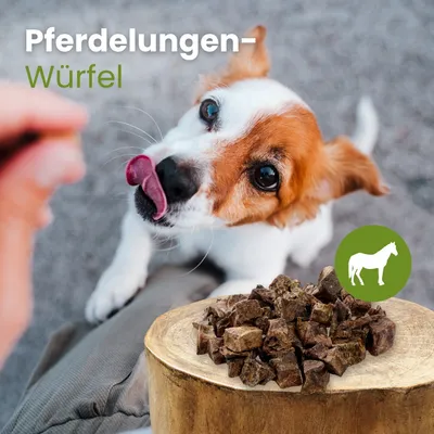 Kauartikel.com Pferde-Lungenwürfel