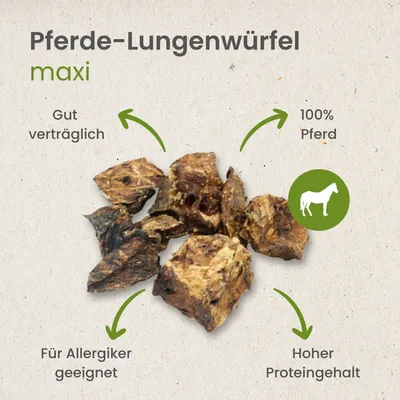 Kauartikel.com Pferde-Lungenwürfel Maxi