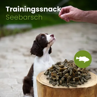Kauartikel.com Seebarsch-Sticks-Trainingssnack