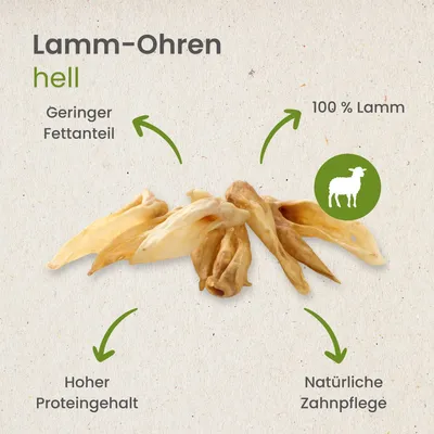 Kauartikel.com Lamm-Ohren, hell