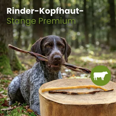 Kauartikel.com Rinder-Kopfhaut-Stange Premium Qualität Kauartikel.com Rinder-Kopfhaut-Stange Premium Qualität