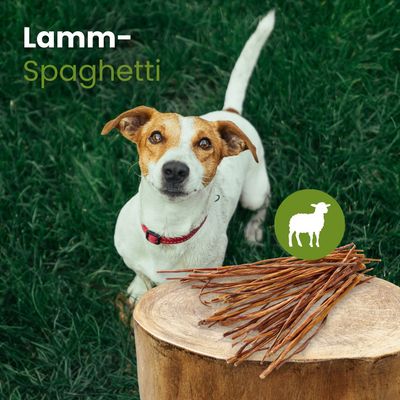 Kauartikel.com Lamm-Spaghetti