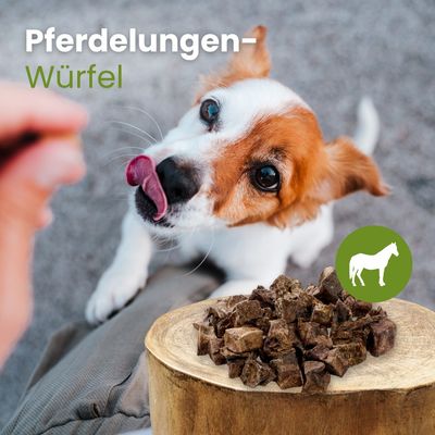 Kauartikel.com Pferde-Lungenwürfel
