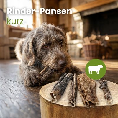 Kauartikel.com Rinder-Pansen, kurz