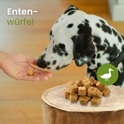 Kauartikel.com Enten-Würfel