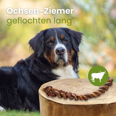 Kauartikel.com Ochsen-Ziemer, geflochten lang