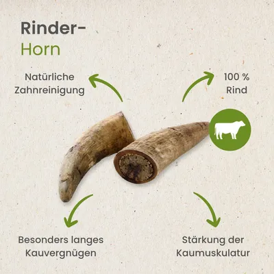 Kauartikel.com Rinder-Horn