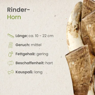 Kauartikel Rinder-Horn Kauartikel Rinder-Horn