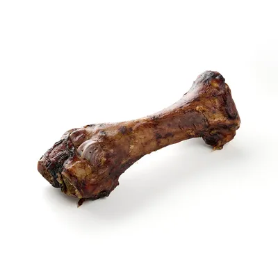 Kauartikel.com Kalbs-Unterbein