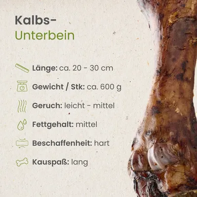 Kauartikel.com Kalbs-Unterbein