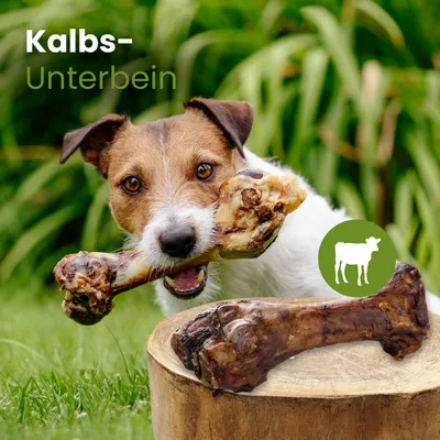 Kauartikel.com Kalbs-Unterbein