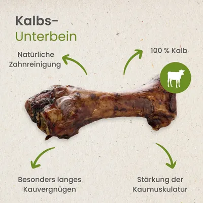 Kauartikel.com Kalbs-Unterbein