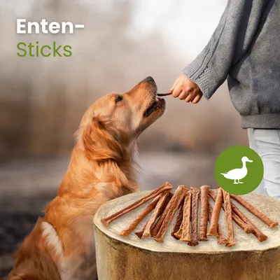 Kauartikel.com Enten-Sticks