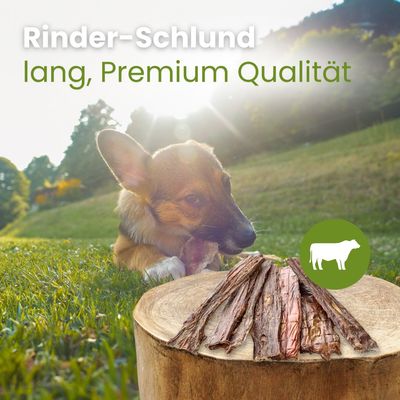 Kauartikel.com Rinder-Schlund, lang Premium Qualität