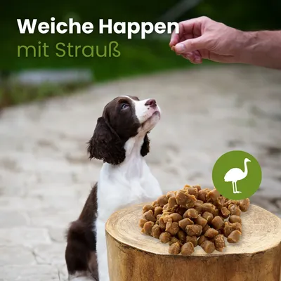 Kauartikel.com Weiche Happen mit Strauß