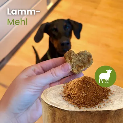 Kauartikel.com Lamm-Mehl