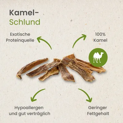 Kauartikel.com Kamel-Schlund