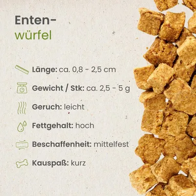 Kauartikel.com Enten-Würfel