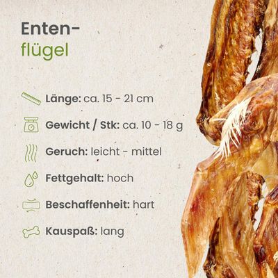 Kauartikel.com Enten-Flügel