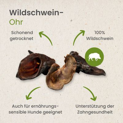 Kauartikel.com Wildschwein-Ohr