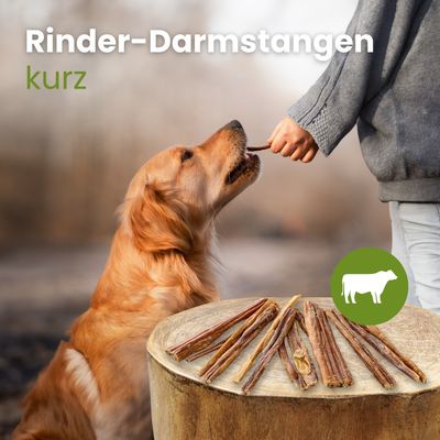 Kauartikel.com Rinder-Darmstangen, kurz