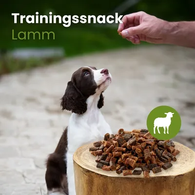 Kauartikel.com Lamm-Sticks-Trainingssnack