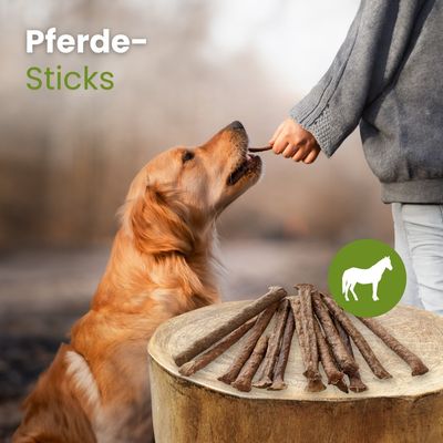 Kauartikel.com Pferde-Sticks