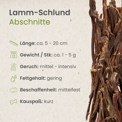 Kauartikel.com Lamm-Schlund, Abschnitte