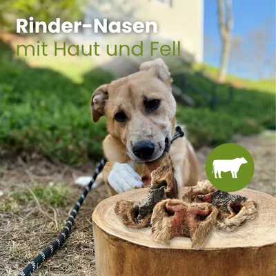 Kauartikel.com Rinder-Nasen mit Haut und Fell Kauartikel.com Rinder-Nasen mit Haut und Fell