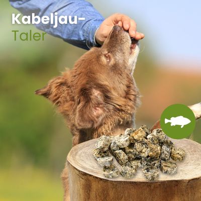 Kauartikel.com Kabeljau-Taler