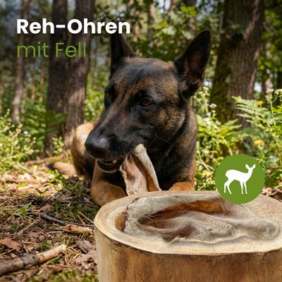 Kauartikel.com Reh-Ohren mit Fell