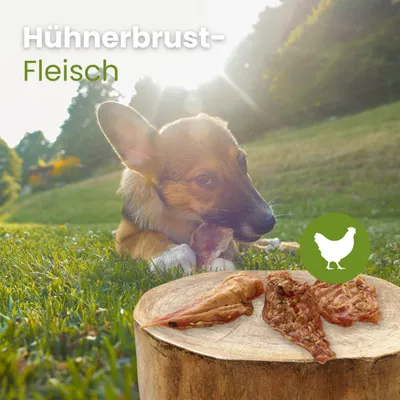 Kauartikel Hühnerbrust-Fleisch