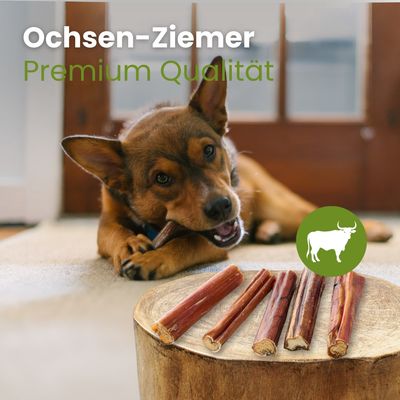 Kauartikel.com Ochsen-Ziemer Premium Qualität
