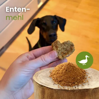 Kauartikel.com Enten-Mehl