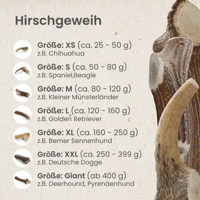 Kauartikel.com Hirschgeweih