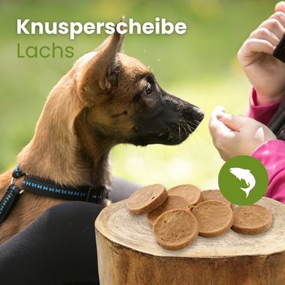 Kauartikel.com Lachs-Knusperscheibe