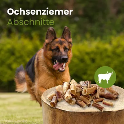 Kauartikel.com Ochsenziemer Abschnitte