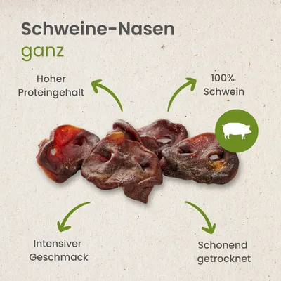 Kauartikel.com Schweine-Nasen, ganz