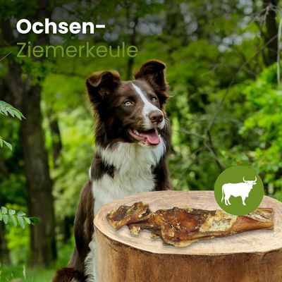 Kauartikel.com Ochsen-Ziemerkeule
