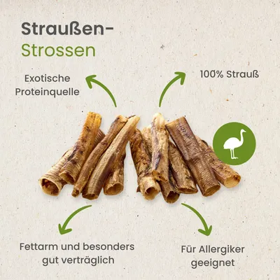 Kauartikel.com Straußen-Strossen