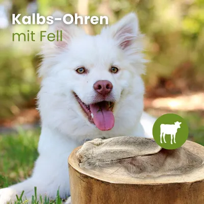 Kauartikel.com Kalbs-Ohren mit Fell