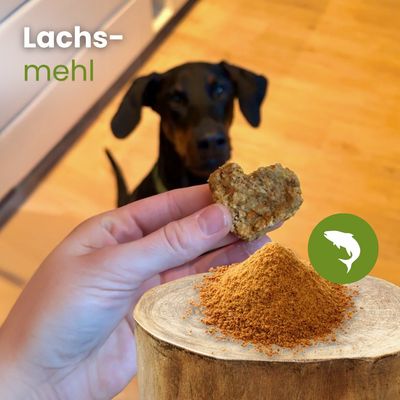 Kauartikel.com Lachs-Mehl