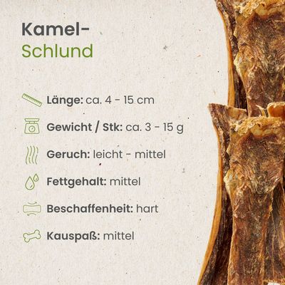 Kauartikel.com Kamel-Schlund