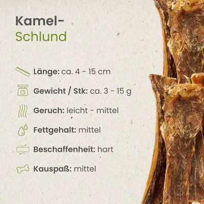 Kauartikel.com Kamel-Schlund