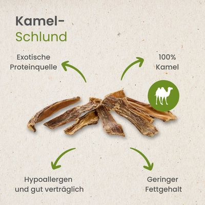 Kauartikel.com Kamel-Schlund